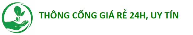 Thông Cống Giá Rẻ 24h